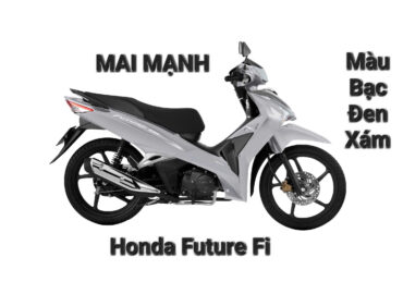 Honda Future Fi màu bạc đen xám